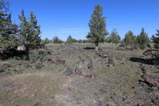13622 Airfield Ln, Culver, OR 97734-9509