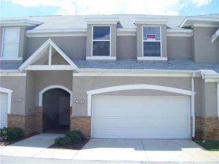 18016 Melibee Stone St, Tampa FL  33647-4041 exterior