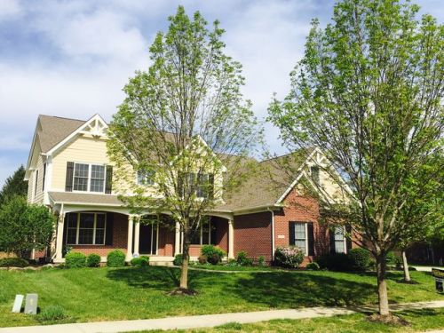 9679 Wading Crane Ave, Woodbury, IN 46055-9369