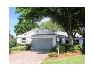 25105 Bonnie Blue Ct, Leesburg, FL 34748-7800