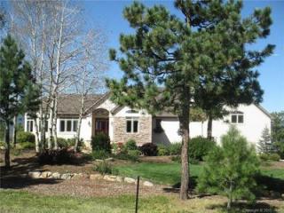 17810 Minglewood Trl, Woodmoor, CO 80132-8493