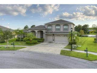 9633 Orange Jasmine Way, Tampa, FL 33647-3020