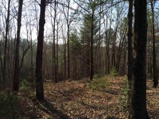 518 Ginseng Dr, Sunset, SC 29685-2227