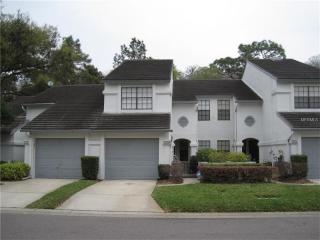 4149 Brentwood Park Cir, Tampa FL  33624-1303 exterior