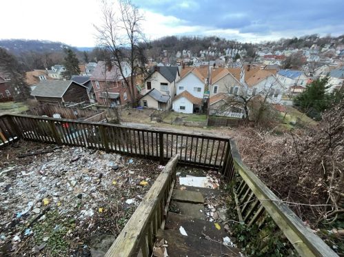 1102 Oswin St, Pittsburgh PA  15220-4925 exterior