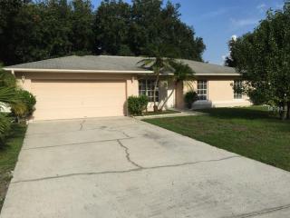 1003 Heron Ct, Kissimmee FL  34759-4407 exterior