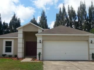 247 Curtis Ave, Groveland, FL 34736-8361