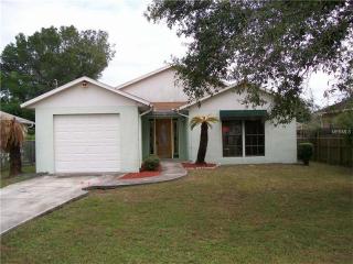 5811 Blossom Ave, Tampa FL  33614-5538 exterior