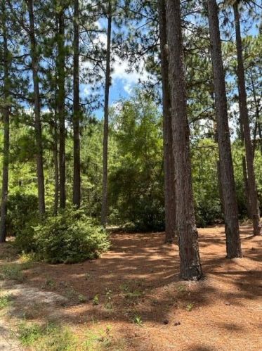238 Arrie Ln, Lexington, SC 29073-9627
