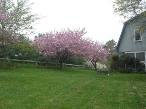 17 Farm St, Dover, MA 02030-2303