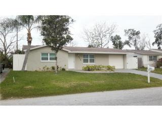 3315 Jarvis St, Tarpon Springs, FL 34690-2017