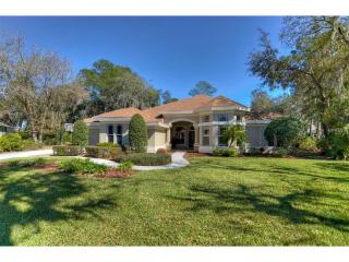 5504 Branch Oak Pl, Lithia FL  33547-4801 exterior