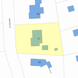 522 Chestnut St, Newton MA  02468-1206 plot plan