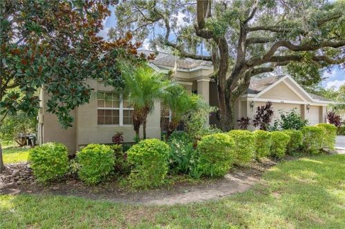 10106 Paddock Oaks Dr, Riverview, FL 33569-8740