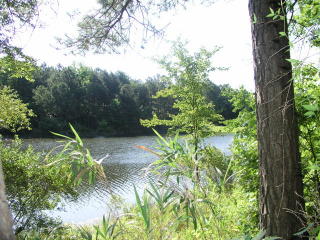 212 Sassafras Ct, Aiken, SC 29803-2674