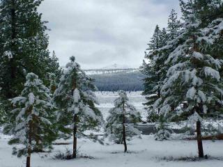 7500 Lahontan Dr, Truckee, CA 96161-5141