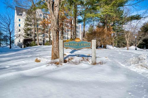 10-601 Mountain Laurels Dr, Nashua, NH 03062-2247