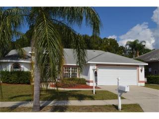 3247 Glenwood Cir, Tarpon Springs FL  34691-2545 exterior