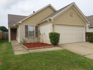 7790 Fallstone Rd, Memphis TN  38125-3637 exterior