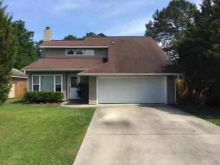 2802 Jobee Dr, Charleston SC  29414-6563 exterior