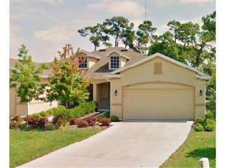 1042 Orca Ct, Tarpon Springs, FL 34691-9816