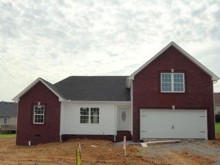206 Brandywine Ln, Springfield, TN 37172-5047