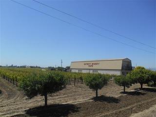 40101 County Road 25a, Woodland, CA 95776-9350