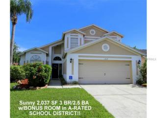 11634 Fox Creek Dr, Tampa, FL 33635-1508