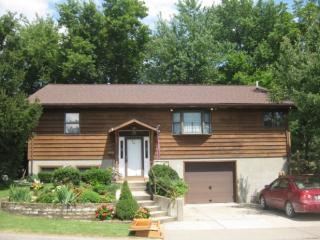 208 Library St, Foster Pond, IL 62298-1227