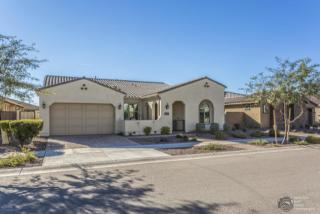 10555 Pivitol Ave, Mesa, AZ 85212-8036