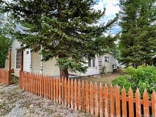 219 11th St, Leadville, CO 80461-3023