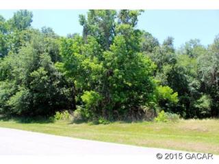 10924 10 Ter, Micanopy FL  32667-3340 exterior