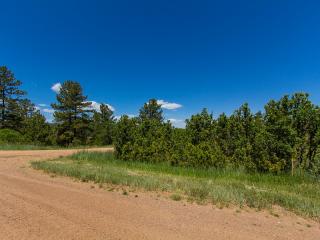 3285 Parkridge Rd, Deckers, CO 80135-4434