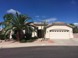 17009 61st St, Scottsdale, AZ 85254-6446