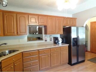 13116 Valley Forge Ln, Champlin, MN 55316-1134