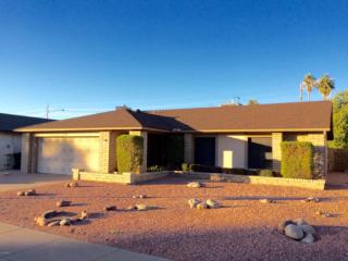 934 Olla Ave, Mesa, AZ 85210-8216