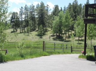 13905 Pine Valley Rd, Pine, CO 80470-9309