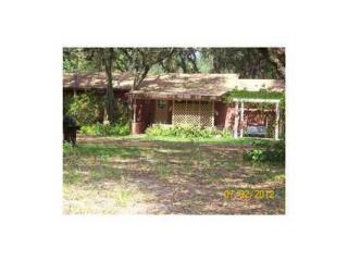 37339 Leontine Williams Rd, Leesburg, FL 34788-8961