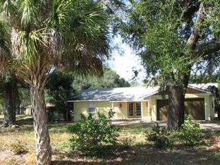 2102 Lone Palm Dr, Wimauma FL  33598-7811 exterior