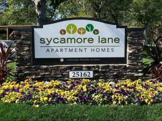 25162 Charlinda Dr, San Juan Capistrano CA  92691-3721 exterior