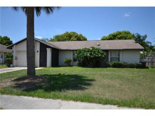 12036 Rotuma St, Orlando FL  32837-9529 exterior