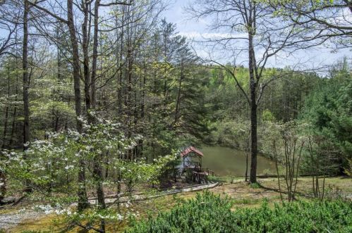 1148 Sweetwater Dr, Clarkesville, GA 30523-8812