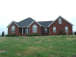 2501 Brawners Levee Rd, Gleason, TN 38229-6835