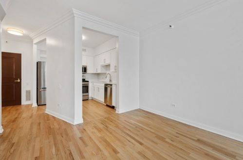 25 Superior St, Chicago IL  60654-0038 exterior