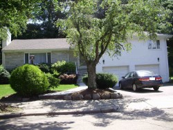 142 Cynthia Rd, Newton, MA 02459-2864