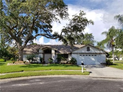 2828 Woodrose Ct, Tarpon Springs, FL 34691-2619