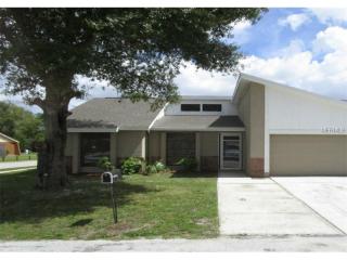 7107 Cove Hills Ct, Tampa FL  exterior