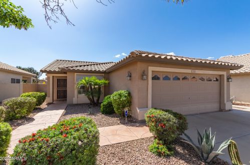 11543 Sandsnake Ct, Sun City, AZ 85378-2669