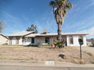 737 96th St, Mesa, AZ 85207-6100