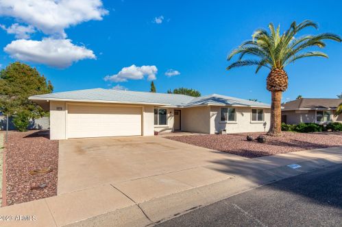 10118 Sutters Gold Ln, Sun City, AZ 85351-1243